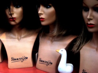 Duck! Duck!